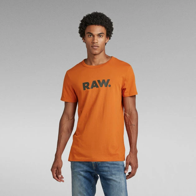 G-Star Raw Holorn T-Shirt